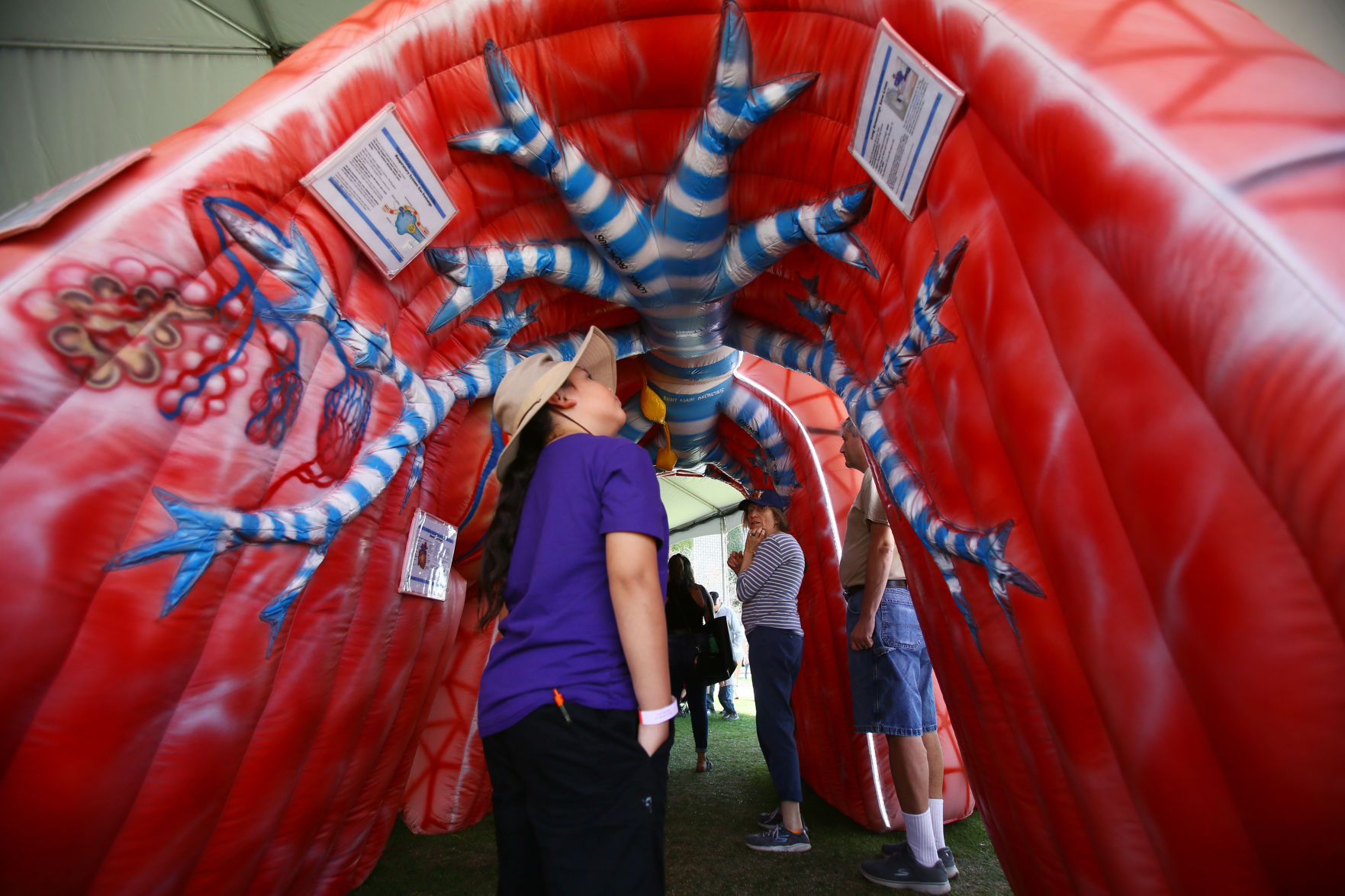 2019 Tucson Festival of Books